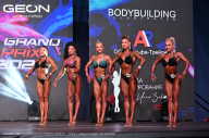 Grand Prix Dudushkin Fitness Family - 2024