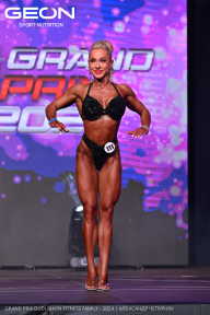 Grand Prix Dudushkin Fitness Family - 2024
