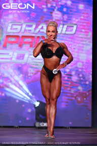 Grand Prix Dudushkin Fitness Family - 2024