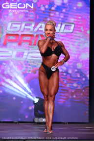 Grand Prix Dudushkin Fitness Family - 2024