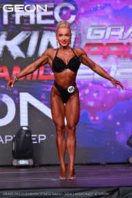 Grand Prix Dudushkin Fitness Family - 2024