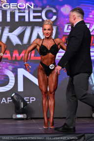 Grand Prix Dudushkin Fitness Family - 2024
