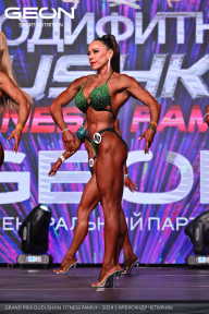 Grand Prix Dudushkin Fitness Family - 2024