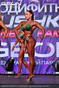 Grand Prix Dudushkin Fitness Family - 2024