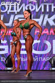 Grand Prix Dudushkin Fitness Family - 2024
