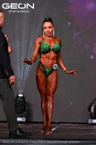 Grand Prix Dudushkin Fitness Family - 2024
