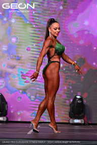 Grand Prix Dudushkin Fitness Family - 2024