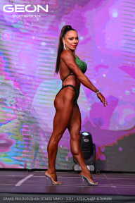 Grand Prix Dudushkin Fitness Family - 2024