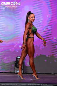 Grand Prix Dudushkin Fitness Family - 2024