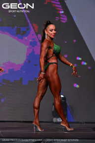 Grand Prix Dudushkin Fitness Family - 2024