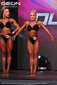 Grand Prix Dudushkin Fitness Family - 2024