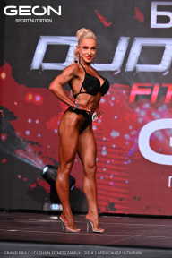 Grand Prix Dudushkin Fitness Family - 2024