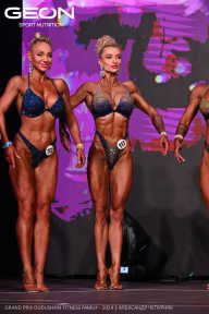 Grand Prix Dudushkin Fitness Family - 2024
