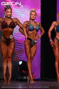 Grand Prix Dudushkin Fitness Family - 2024