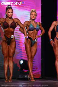 Grand Prix Dudushkin Fitness Family - 2024