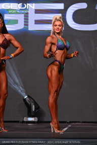 Grand Prix Dudushkin Fitness Family - 2024