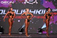 Grand Prix Dudushkin Fitness Family - 2024