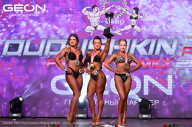 Grand Prix Dudushkin Fitness Family - 2024