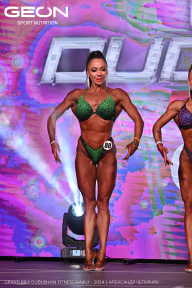 Grand Prix Dudushkin Fitness Family - 2024