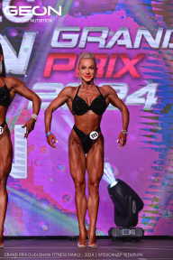 Grand Prix Dudushkin Fitness Family - 2024
