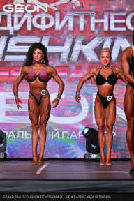 Grand Prix Dudushkin Fitness Family - 2024