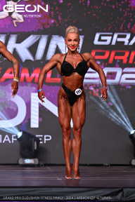 Grand Prix Dudushkin Fitness Family - 2024