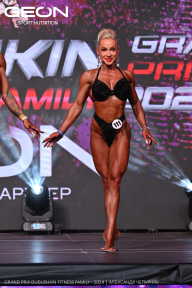Grand Prix Dudushkin Fitness Family - 2024