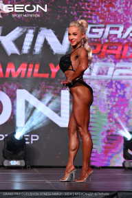 Grand Prix Dudushkin Fitness Family - 2024