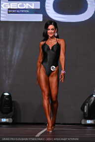 Grand Prix Dudushkin Fitness Family - 2024