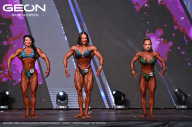 Grand Prix Dudushkin Fitness Family - 2024