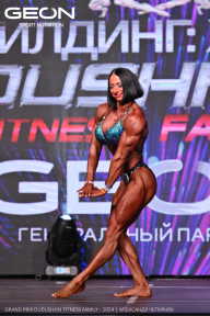 Grand Prix Dudushkin Fitness Family - 2024