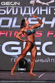 Grand Prix Dudushkin Fitness Family - 2024