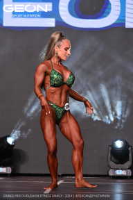 Grand Prix Dudushkin Fitness Family - 2024