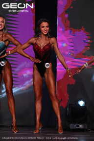 Grand Prix Dudushkin Fitness Family - 2024