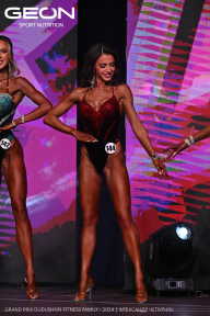 Grand Prix Dudushkin Fitness Family - 2024