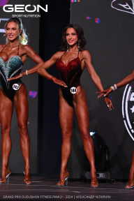 Grand Prix Dudushkin Fitness Family - 2024
