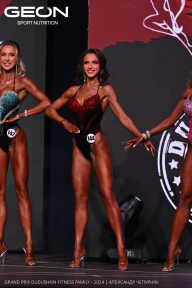 Grand Prix Dudushkin Fitness Family - 2024
