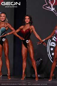 Grand Prix Dudushkin Fitness Family - 2024