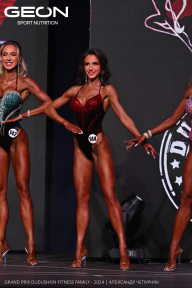 Grand Prix Dudushkin Fitness Family - 2024
