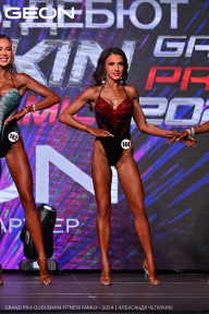 Grand Prix Dudushkin Fitness Family - 2024