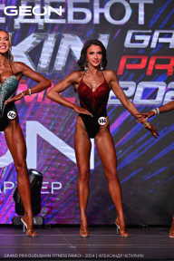 Grand Prix Dudushkin Fitness Family - 2024
