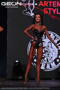 Grand Prix Dudushkin Fitness Family - 2024