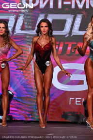 Grand Prix Dudushkin Fitness Family - 2024