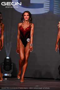Grand Prix Dudushkin Fitness Family - 2024