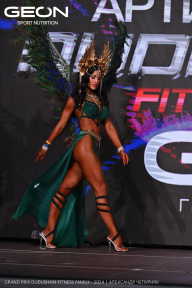 Grand Prix Dudushkin Fitness Family - 2024