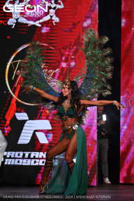Grand Prix Dudushkin Fitness Family - 2024