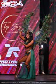 Grand Prix Dudushkin Fitness Family - 2024