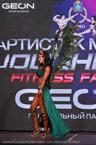 Grand Prix Dudushkin Fitness Family - 2024