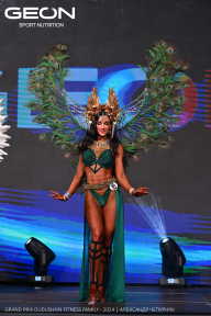 Grand Prix Dudushkin Fitness Family - 2024