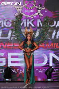 Grand Prix Dudushkin Fitness Family - 2024